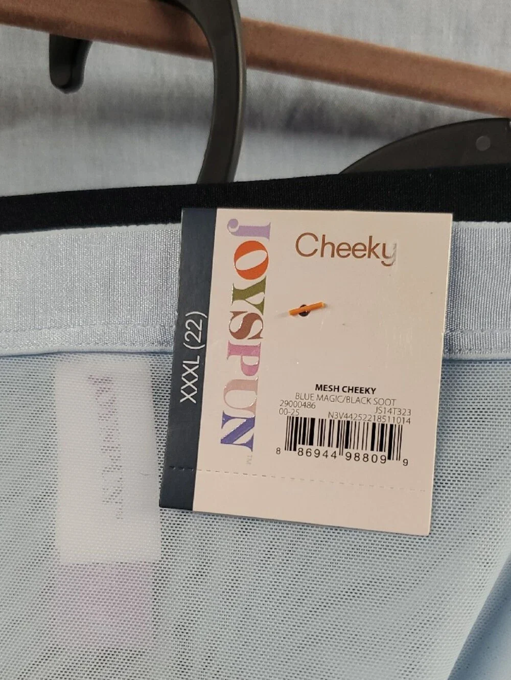 Cheeky Women's Sheer High-Cut Panties - Light Blue & Black